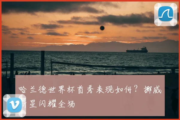哈兰德世界杯首秀表现如何？挪威新星闪耀全场